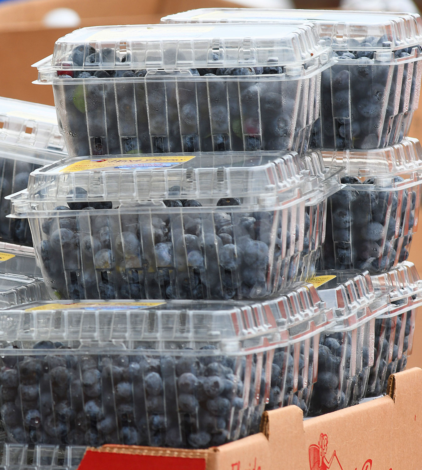 Blueberries